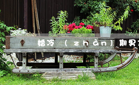 離婚冷戰(zhàn)期男方不歸宿