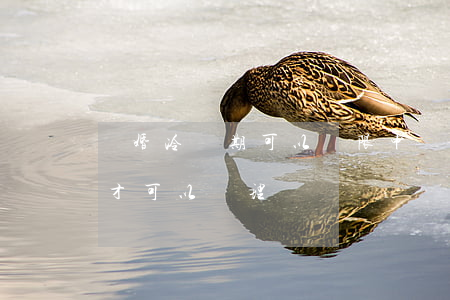 離婚冷靜期可以無限申請嗎(離婚要冷靜半年才可以辦理?)