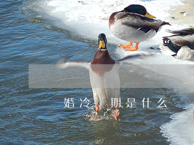 離婚冷靜期是什么