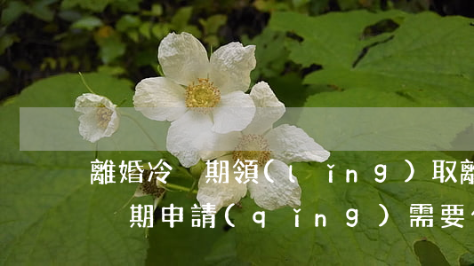 離婚冷靜期領(lǐng)取離婚證(離婚冷靜期申請(qǐng)需要什么證件)
