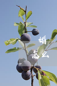 離婚凈身出戶戶口怎么辦(離婚凈身出戶戶口怎么辦)