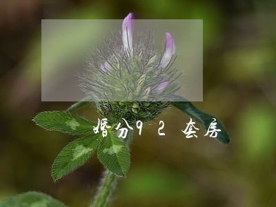 離婚分92套房