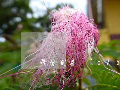 離婚分割房產(chǎn)后怎么辦