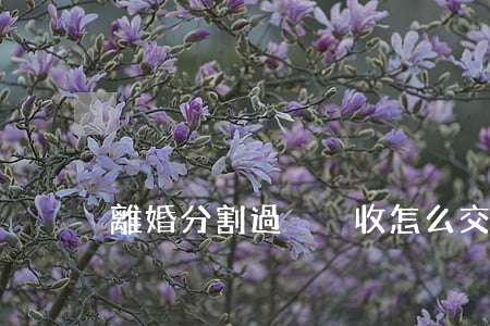 離婚分割過戶稅收怎么交