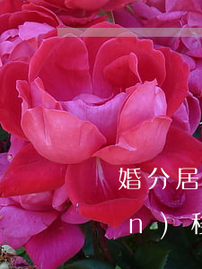 離婚分居期間財產(chǎn)轉(zhuǎn)移