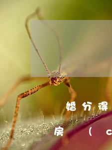 離婚分得的房產(chǎn)怎么辦(離婚分房產(chǎn)怎么分)