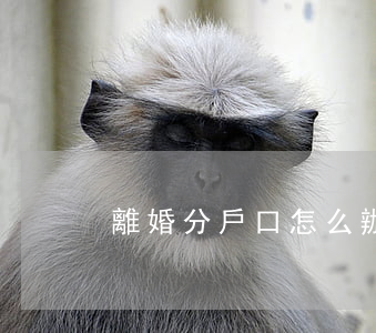 離婚分戶口怎么辦理