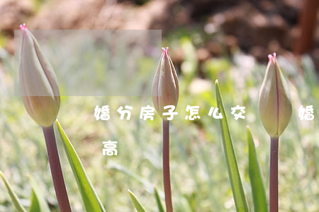 離婚分房子怎么交稅(離婚分的房子賣掉交的稅高嗎?)