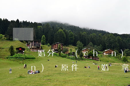 離婚分財產(chǎn)用拿房產(chǎn)證原件嗎(離婚證拿了還能分財產(chǎn)嗎?)