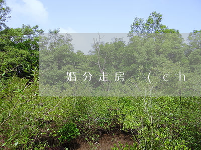 離婚分走房產(chǎn)我該怎么辦
