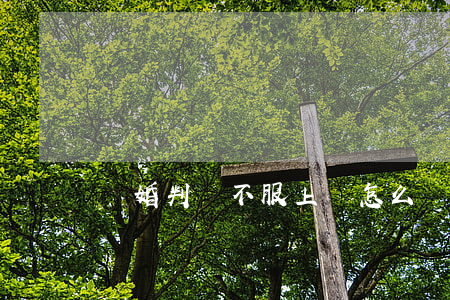 離婚判決不服上訴怎么辦
