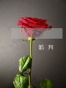 離婚判決書(shū)丟失怎么辦