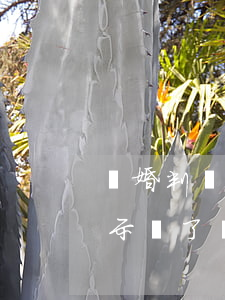 離婚判決書一般有幾分(離婚判決書下來就表示離了嗎)