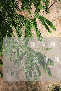 離婚判決書上的賠償對(duì)方逾期不給(離婚協(xié)議賠償款逾期有效嗎)