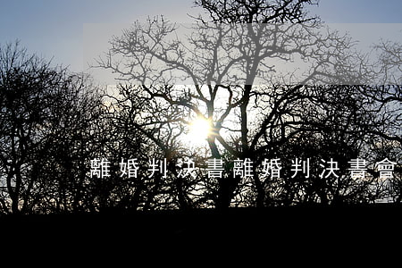 離婚判決書(離婚判決書會寫明離婚原因嗎)