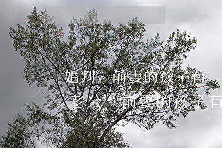 離婚判給前妻的孩子有繼承權(quán)嗎(老公與前妻的孩子有權(quán)繼承么)