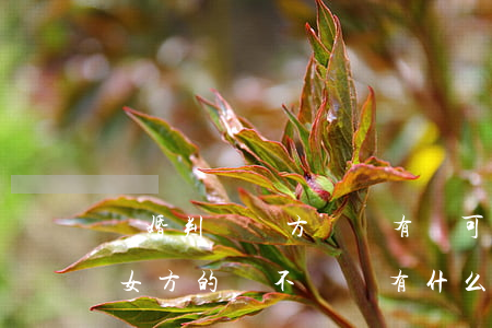 離婚判給對方錢沒有錢可以不給嗎(離婚時給女方的錢不給會有什么后果)