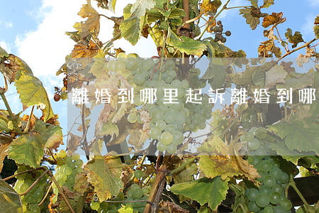 離婚到哪里起訴(離婚到哪里起訴離婚)
