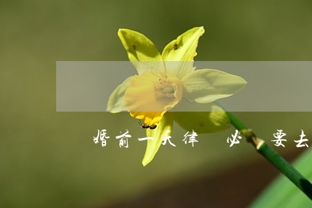 離婚前一天律師必須要去嗎(離婚前一定要)