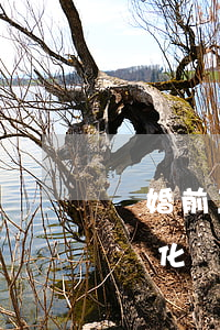 離婚前三個(gè)月會(huì)有什么變化(離婚3個(gè)月)