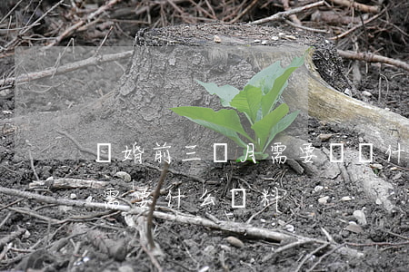 離婚前三個月需要準備什么(產后三個月離婚需要什么資料)