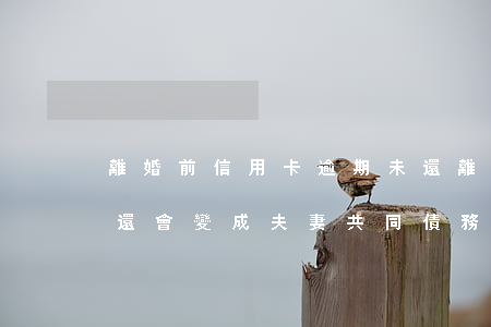 離婚前信用卡逾期未還 離婚前信用卡逾期未還,會變成夫妻共同債務嗎