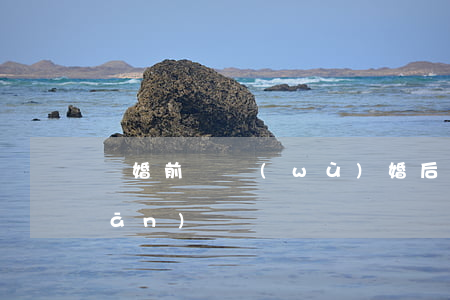 離婚前債務(wù)婚后是否共同承擔(dān)