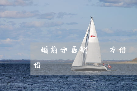 離婚前分居期間對方借錢(夫妻在離婚前一方借錢)