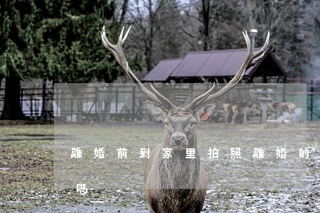 離婚前到家里拍照(離婚的時候也要重新拍照嗎)