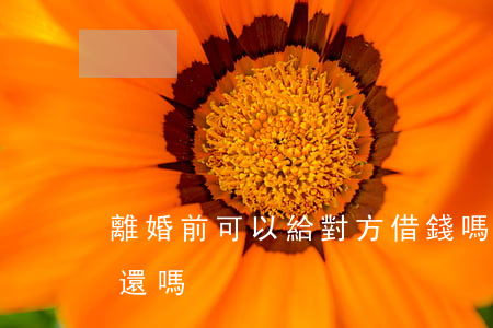 離婚前可以給對方借錢嗎(婚前借的錢離婚要還嗎)
