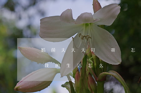 離婚前夫天天打擾我該怎么辦(離婚后前夫打擾我的生活怎么辦)