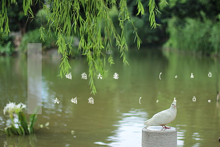 離婚前夫妻財產(chǎn)分割合法么(丈夫婚前財產(chǎn)離婚能分嗎)