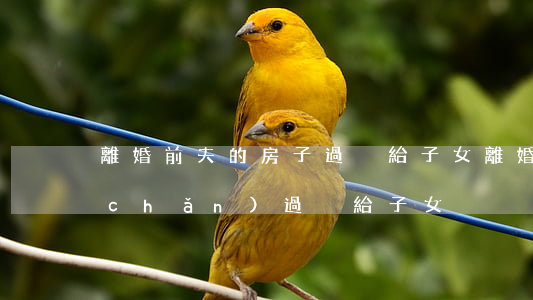 離婚前夫的房子過戶給子女(離婚前把房產(chǎn)過戶給子女)