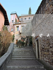 離婚前夫結(jié)婚證丟了怎么辦