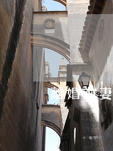 離婚前妻后悔怎么辦