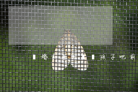 離婚前妻回來帶孩子吧(前妻帶著孩子走了)