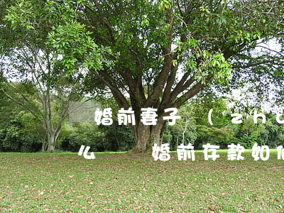 離婚前妻子轉(zhuǎn)移家庭存款怎么辦(離婚前存款如何轉(zhuǎn)移)