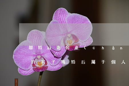 離婚前妻房產(chǎn)歸誰所有(和前妻的房子,再婚后屬于個人財產(chǎn)嗎?)