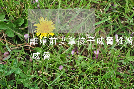離婚前妻拿孩子威脅(離婚后前妻不斷騷擾和威脅)