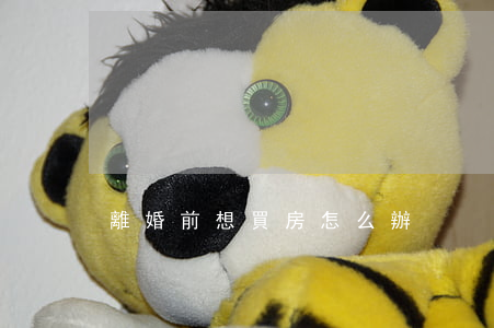 離婚前想買房怎么辦
