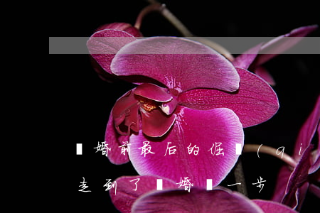 離婚前最后的倔強(qiáng)(終于還是走到了離婚這一步)