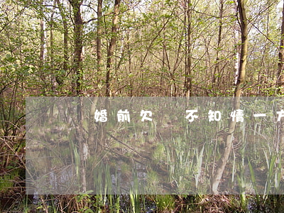 離婚前欠債不知情一方