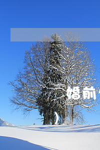 離婚前欠的網(wǎng)貸(網(wǎng)貸 離婚)
