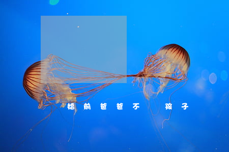 離婚前爸爸不讓孩子見媽媽怎么辦