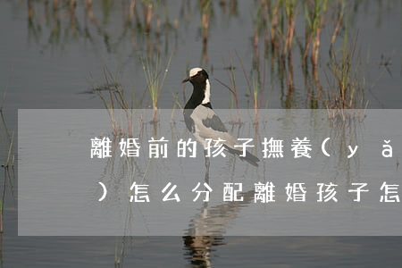 離婚前的孩子撫養(yǎng)費(fèi)怎么分配(離婚孩子怎么給撫養(yǎng)費(fèi))