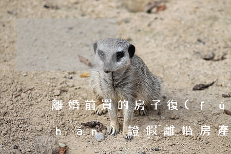 離婚前買的房子復(fù)婚后辦房產(chǎn)證(假離婚房產(chǎn)證下來前能復(fù)婚嗎)