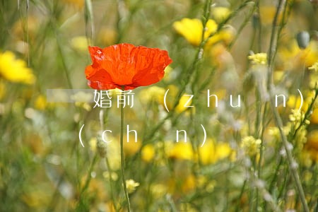 離婚前轉(zhuǎn)移財(cái)產(chǎn)