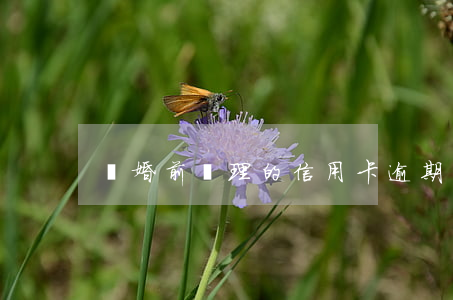 離婚前辦理的信用卡逾期