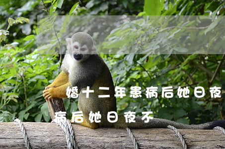 離婚十二年患病后她日夜不離(離婚十二年患病后她日夜不離)