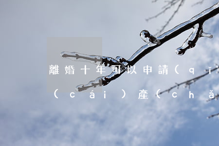 離婚十年可以申請(qǐng)重新分配財(cái)產(chǎn)嗎(離婚3年了還可以申請(qǐng)財(cái)產(chǎn)重新分配)